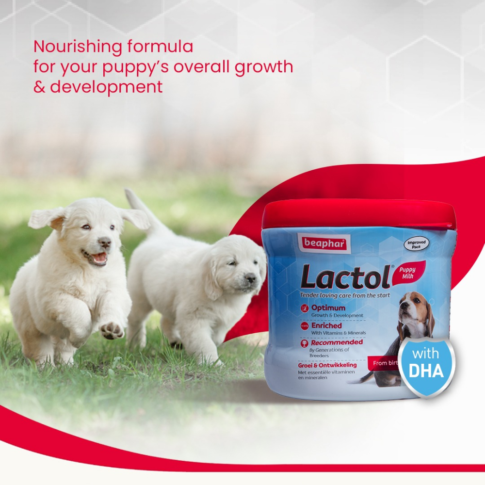 Beaphar Lactol New Born Milk Replacement Powder for Puppies Dogs-Health & Wellness Beaphar