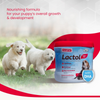 Beaphar Lactol New Born Milk Replacement Powder for Puppies Dogs-Health & Wellness Beaphar