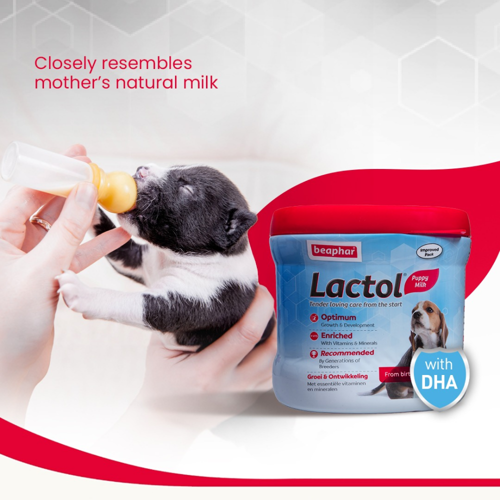 Beaphar Lactol New Born Milk Replacement Powder for Puppies Dogs-Health & Wellness Beaphar