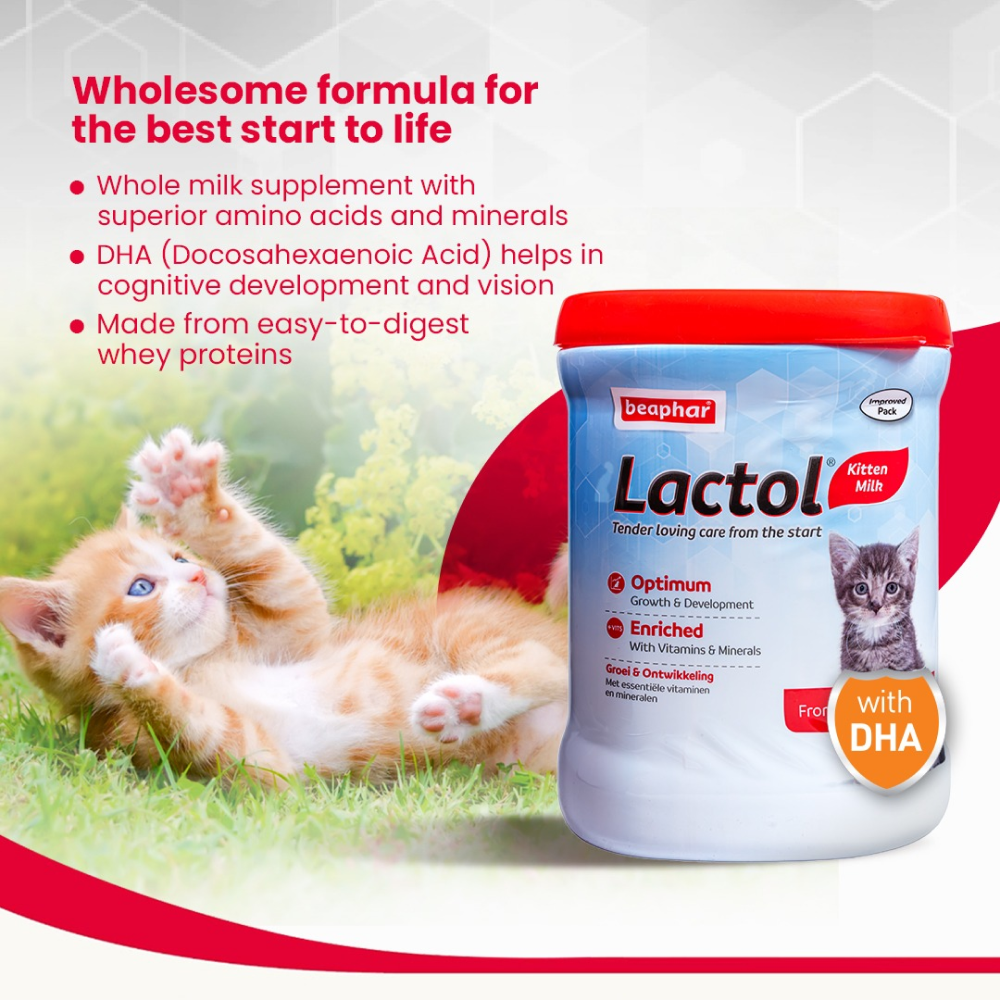 Beaphar Lactol Milk Replacement Powder for Kitten Supertails