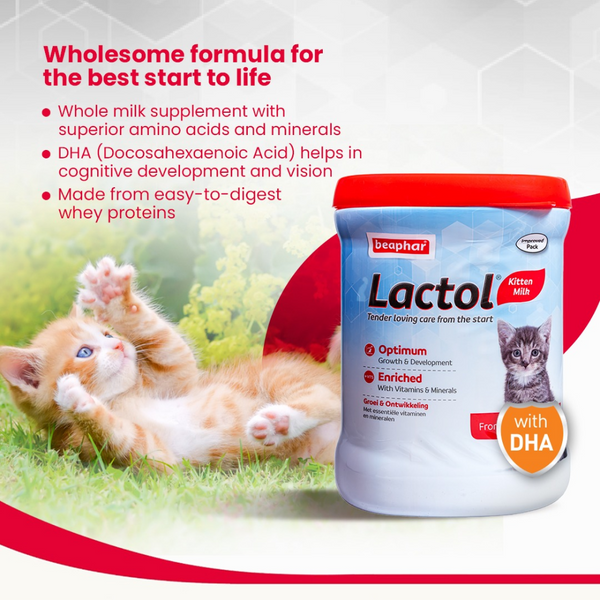 Beaphar Lactol Puppy Milk Supplement - 2kg Bag For Puppy Nutrition And Care