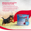 Beaphar Lactol New Born Milk Replacement Powder for Puppies Dogs-Health & Wellness Beaphar