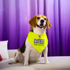 Dogobow Cutie on Duty Bandana for Dogs (Yellow) Dogs-Clothing & Accessories Dogobow Dropship