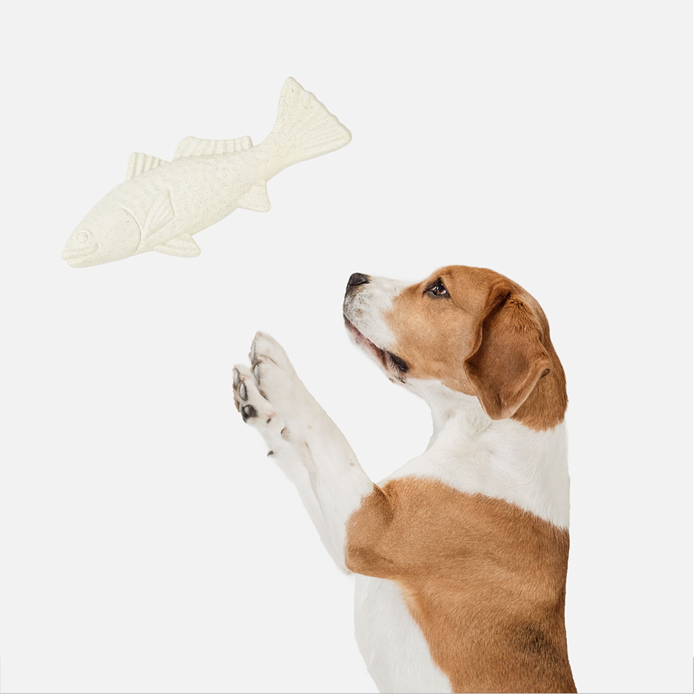 Barkbutler x Fofos Durable Cuttlefish Chew Toy for Dogs Dogs-Toys Barkbutler