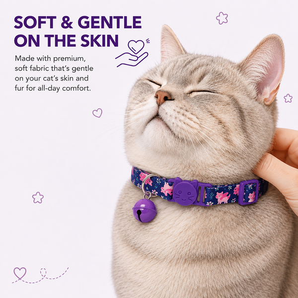 Talking Dog Club Everyday Collar with Sea Horse Bell for Cats (Navy/Purple)