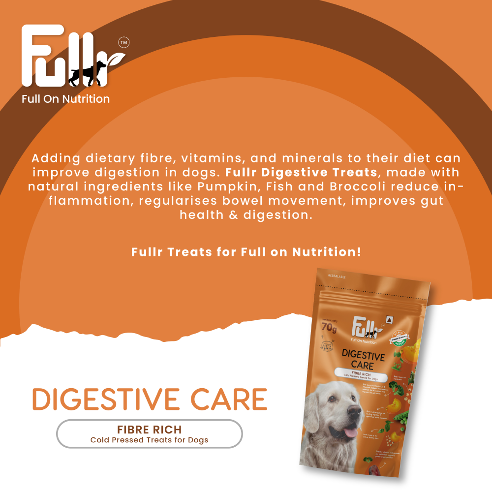Dog treats for dogs with pancreatitis hot sale