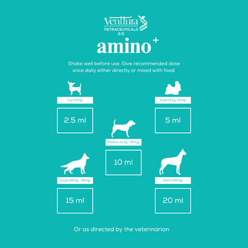 Venttura Amino Plus Syrup for Dogs