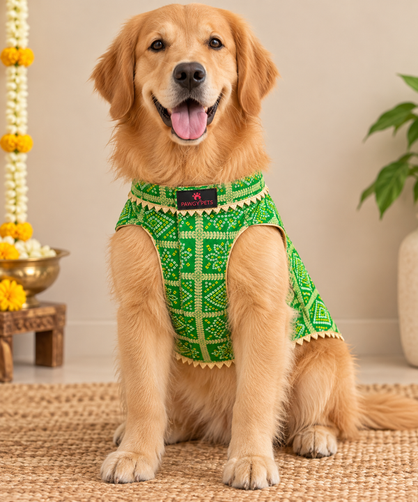 Pawgy Pets Bandhani Kurta for Dogs (Green)