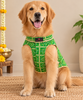 Pawgy Pets Bandhani Kurta for Dogs (Green) Dogs-Clothing & Accessories Pawgypets Dropship XXS