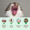 Absolut Pet Dental Chews Supplements for Cats Cats-Health & Wellness Absolut Pet