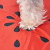 Fofos Watermelon Cooling Mat for Dogs & Cats (Green/Red) Dogs-Bedding, Mats & Travel Supplies Fofos