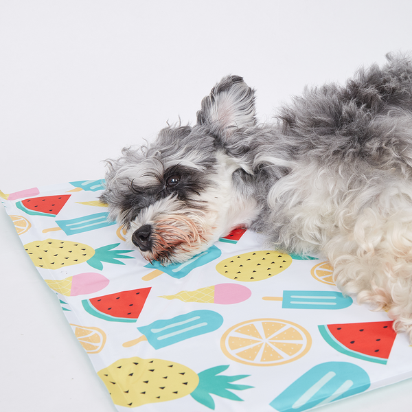 Fofos Fruits Cooling Mat for Dogs & Cats