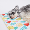 Fofos Fruits Cooling Mat for Dogs & Cats Both-Bedding, Mats & Travel Supplies Fofos