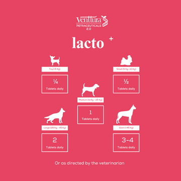 Venttura Lacto Plus Milk Boosters Chewable Tablets for Dogs