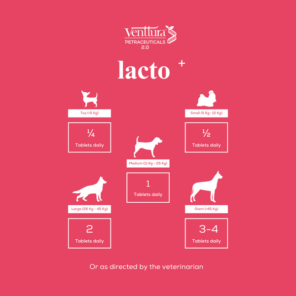 Venttura Lacto Plus Milk Boosters Chewable Tablets for Dogs