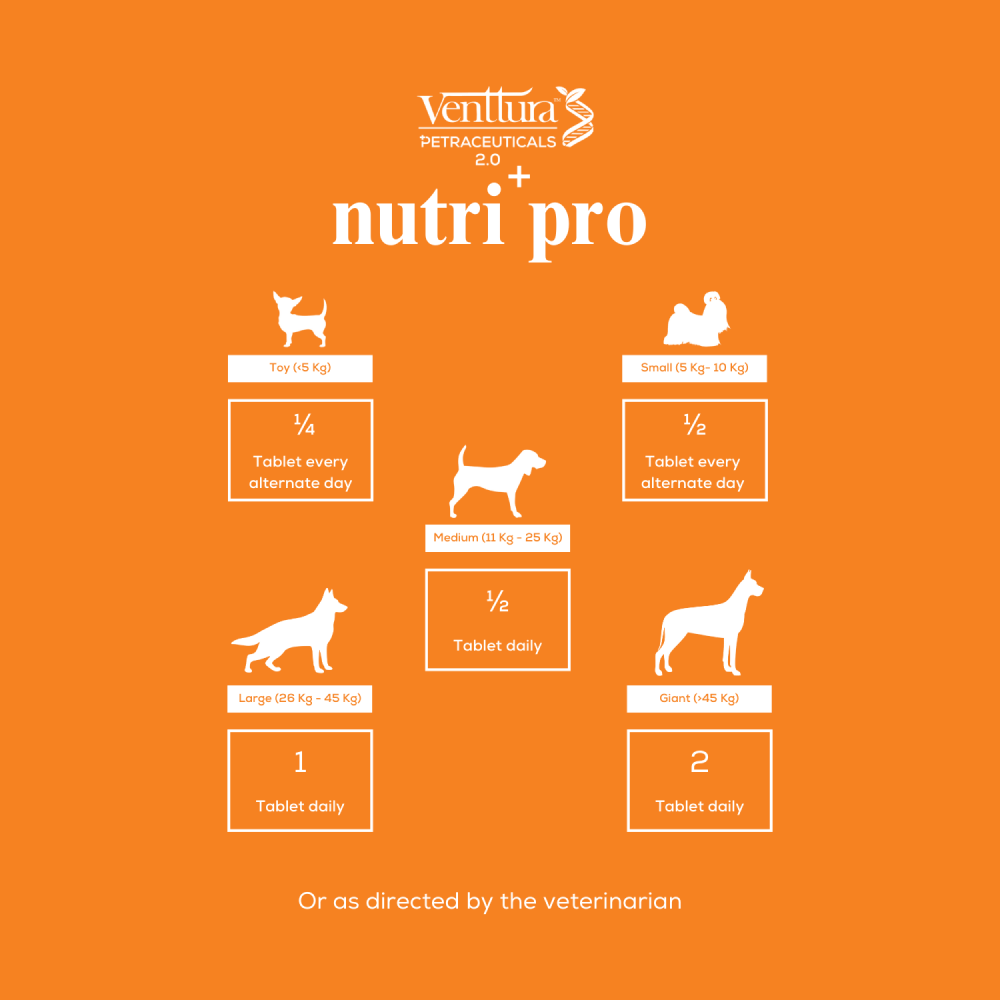 Venttura Nutri Plus Pro Multi Vitamin Chewable Tablets for Dogs