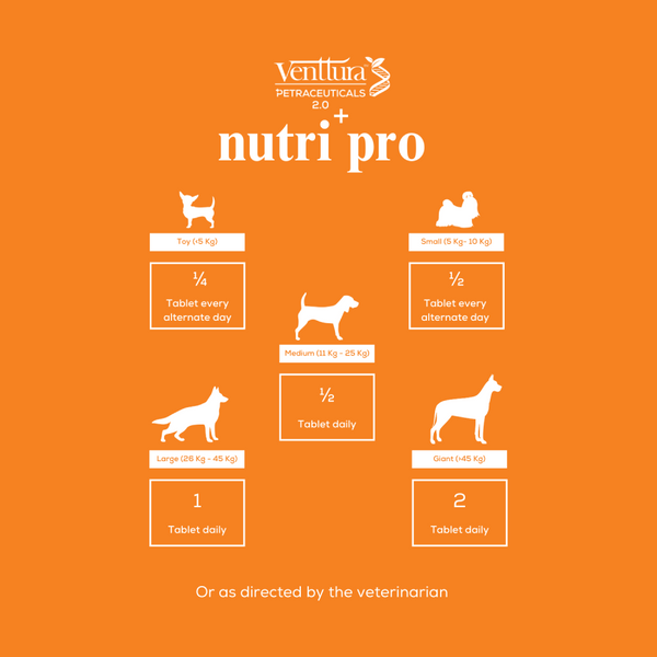 Venttura Nutri Plus Pro Multi Vitamin Chewable Tablets for Dogs
