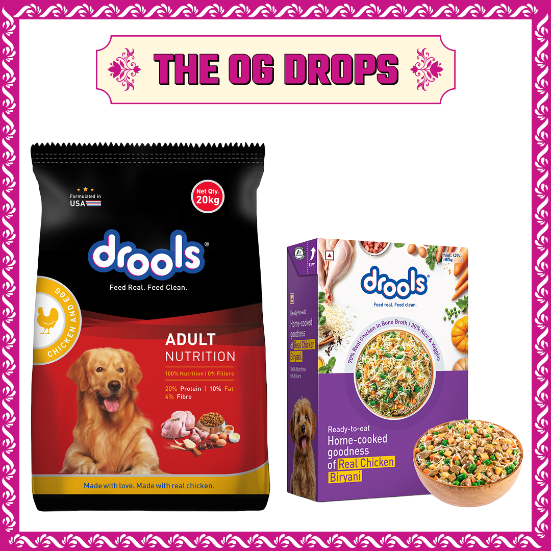 Drools Chicken and Egg Adult Dog Dry Food Dogs- Dry Food Drools 20kg+150g(Fresh Food Free)