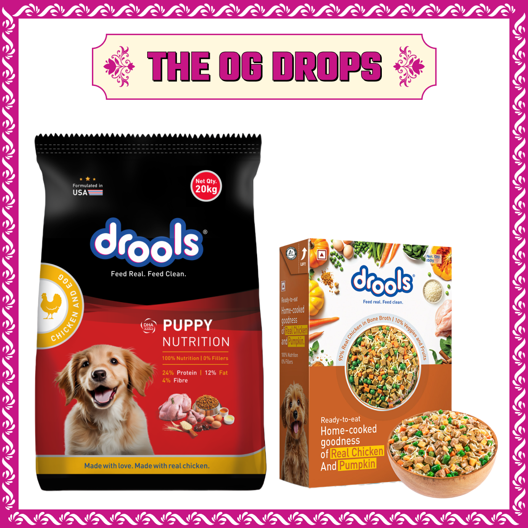 Drools Chicken and Egg Puppy Dog Dry Food Dogs- Dry Food Drools 20kg+150g(Fresh Food Free)