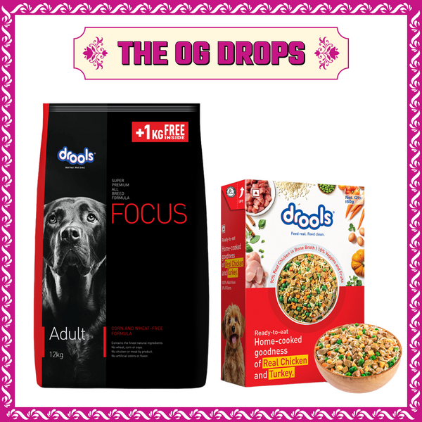 Drools Focus Super Premium Adult Dog Dry Food | Corn & Wheat Free Formula