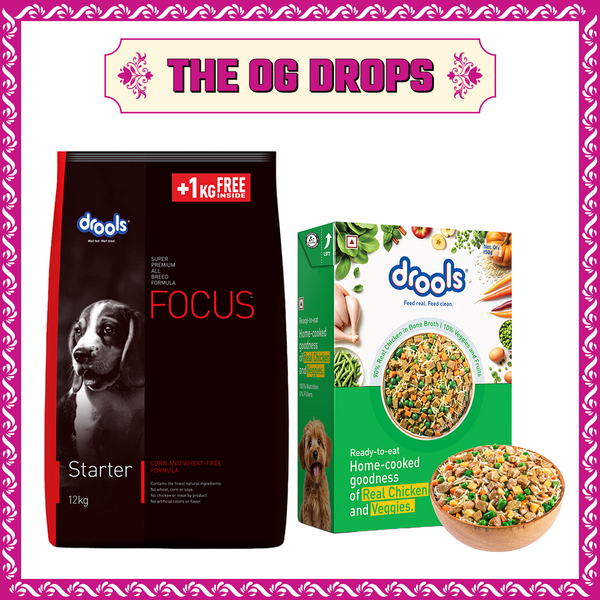 Drools Focus Super Premium Starter Dog Dry Food | Corn & Wheat Free Formula