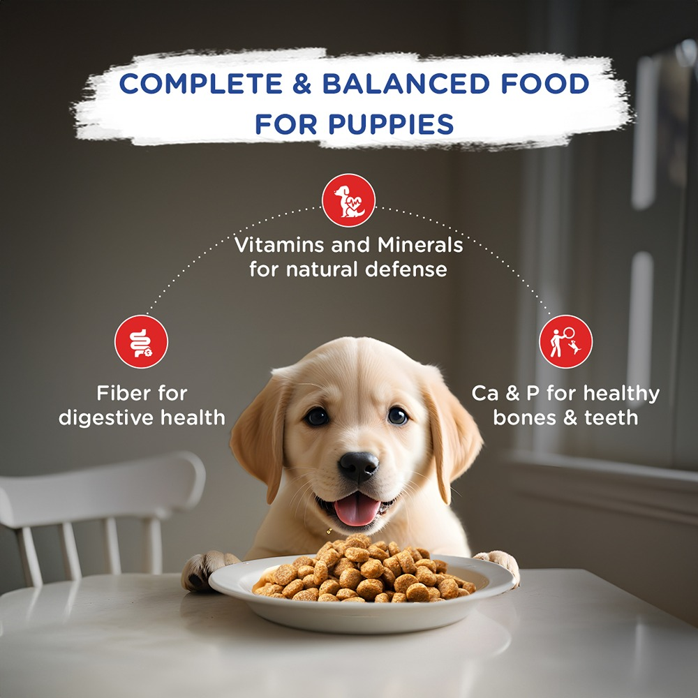 Chappi Chicken & Milk Dry Puppy Food