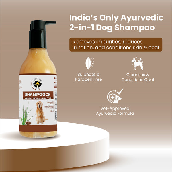 FurBall Story Shampooch Healthy Skin & Shiny Coat Shampoo for Dogs