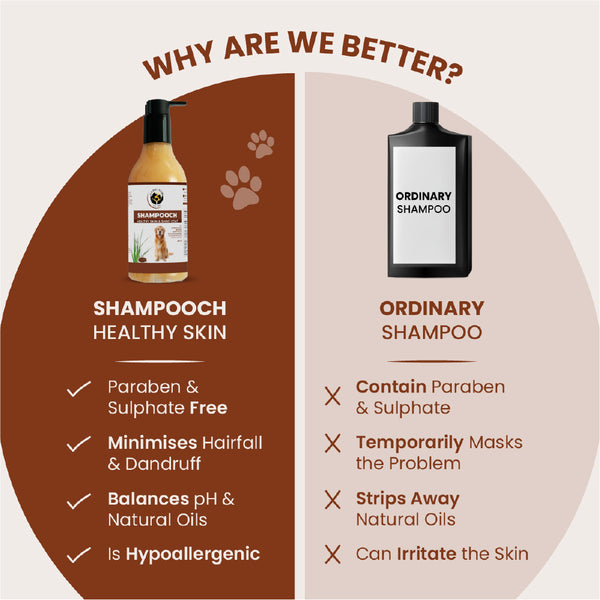 FurBall Story Shampooch Healthy Skin & Shiny Coat Shampoo for Dogs