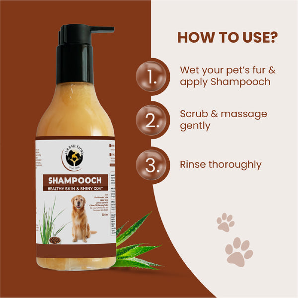 FurBall Story Shampooch Healthy Skin & Shiny Coat Shampoo for Dogs