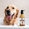 FurBall Story Shampooch Healthy Skin & Shiny Coat Shampoo for Dogs Dogs-Grooming Supplies Furball Story