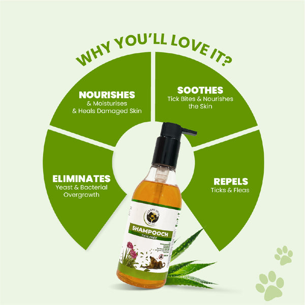 FurBall Story Shampooch Tick Free Shampoo for Dogs