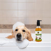 FurBall Story Shampooch Tick Free Shampoo for Dogs Dogs-Grooming Supplies Furball Story