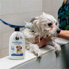 FurBall Story Shampooch Puppy Care Shampoo for Puppies Dogs-Grooming Supplies Furball Story