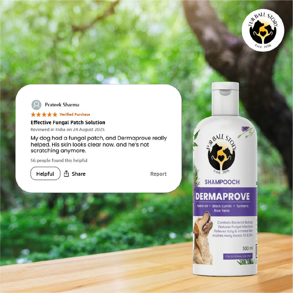 FurBall Story Shampooch Dermaprove Shampoo for Dogs