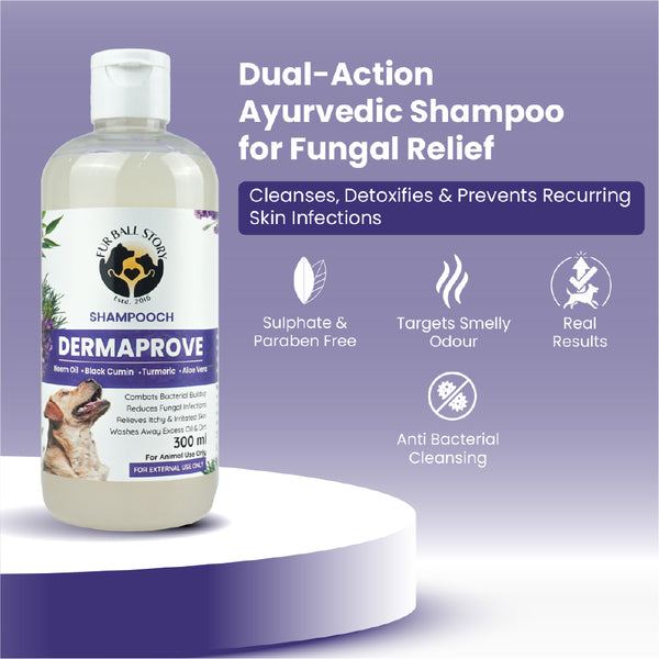 FurBall Story Shampooch Dermaprove Shampoo for Dogs