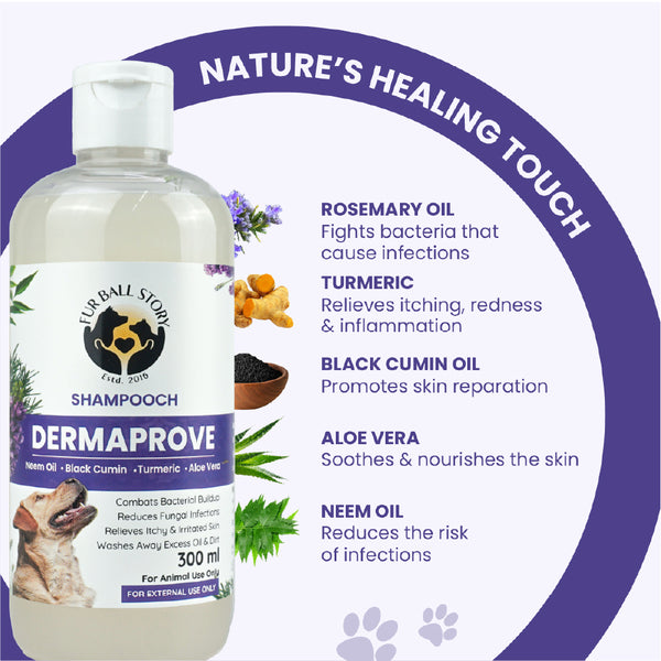 FurBall Story Shampooch Dermaprove Shampoo for Dogs