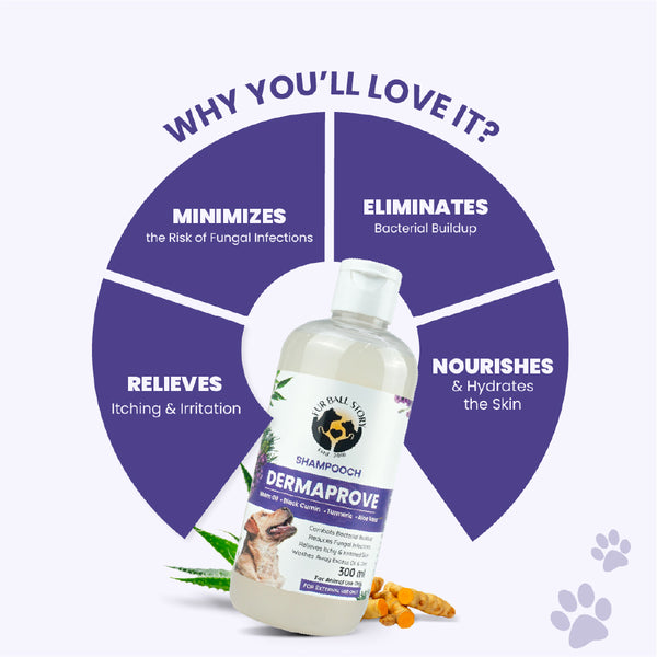 FurBall Story Shampooch Dermaprove Shampoo for Dogs