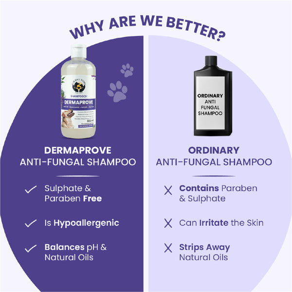 FurBall Story Shampooch Dermaprove Shampoo for Dogs