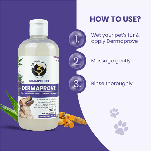 FurBall Story Shampooch Dermaprove Shampoo for Dogs