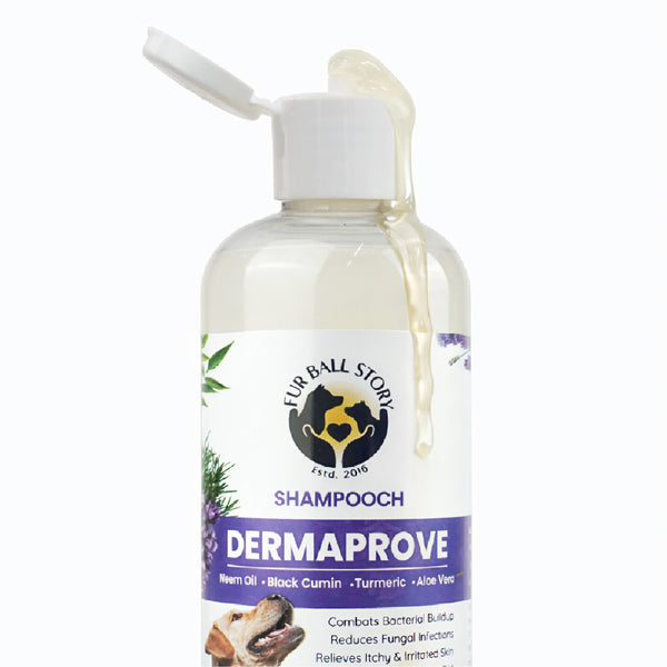 FurBall Story Shampooch Dermaprove Shampoo for Dogs