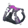 Red Dingo Padded Harness For Dogs (Purple) Dogs-Collar, Leashes, harnesses Red Dingo Dropship S
