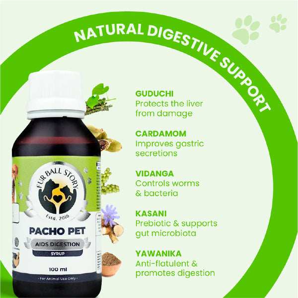 FurBall Story Pacho Relieves Stomach Issues Syrup for Dogs & Cats