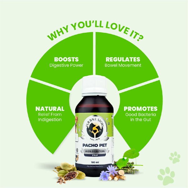 FurBall Story Pacho Relieves Stomach Issues Syrup for Dogs & Cats