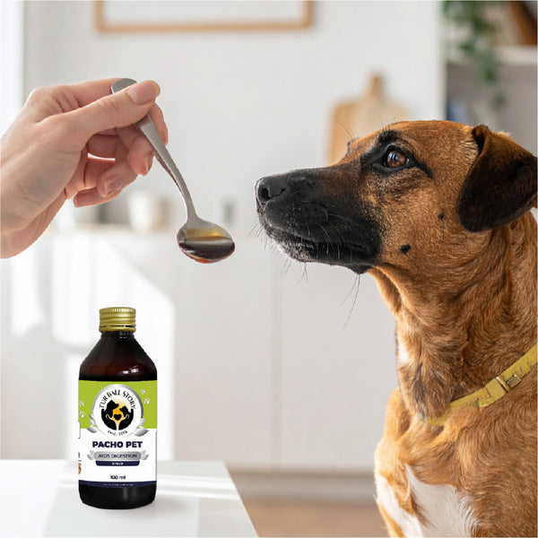FurBall Story Pacho Relieves Stomach Issues Syrup for Dogs & Cats