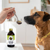 FurBall Story Pacho Relieves Stomach Issues Syrup for Dogs & Cats Dogs-Health & Wellness Furball Story
