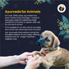 FurBall Story Eczo Pet Cream for Dogs and Cats Both-Health & Wellness Furball Story