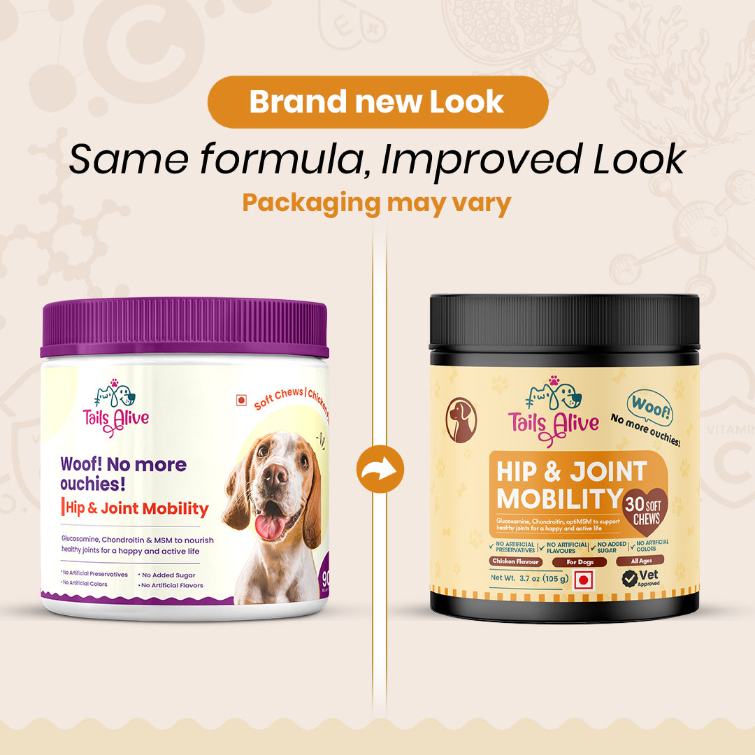 TailsAlive Hip & Joint Chicken Flavor Soft Chews Supplements for Dogs Dogs-Health & Wellness TailsAlive