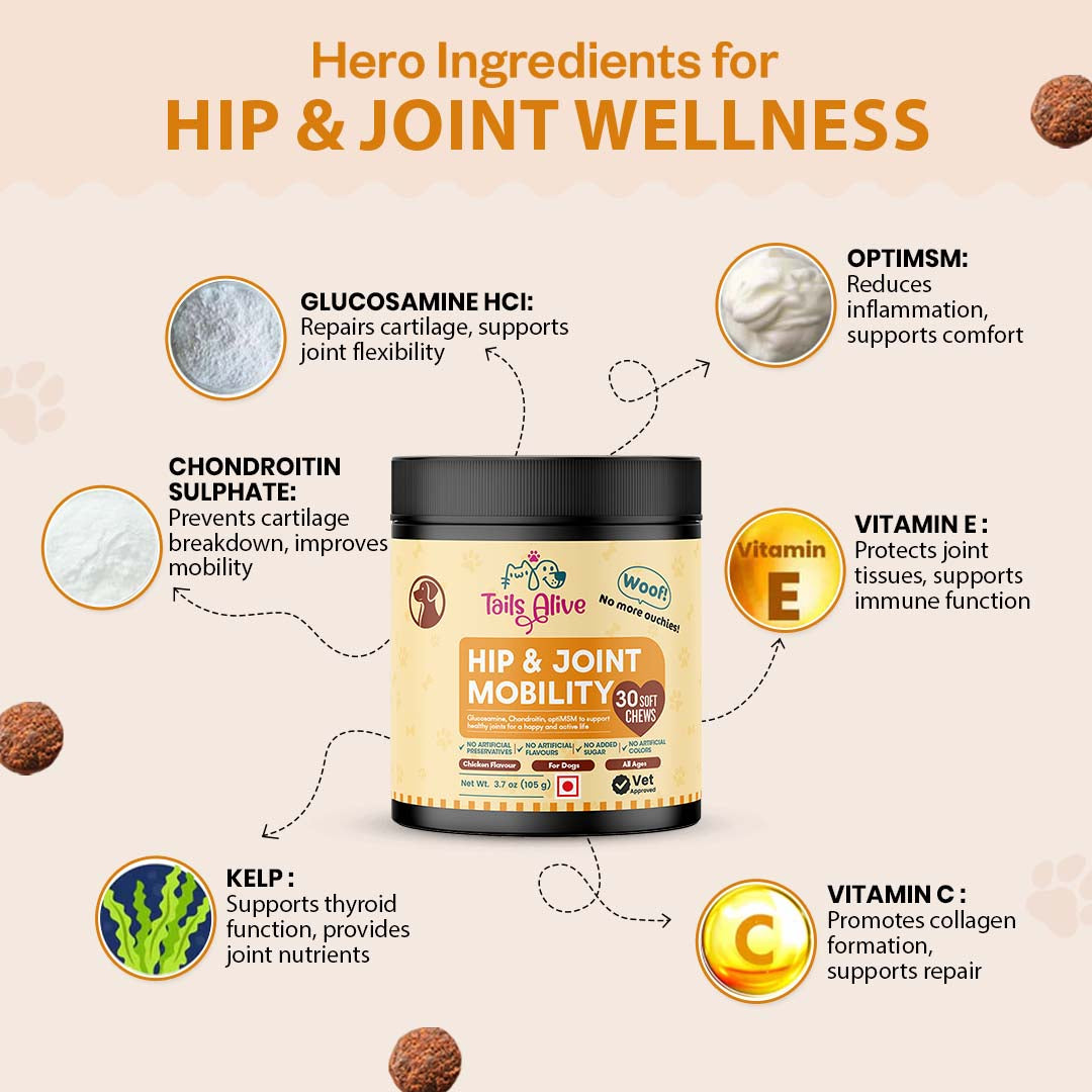 TailsAlive Hip & Joint Chicken Flavor Soft Chews Supplements for Dogs Dogs-Health & Wellness TailsAlive