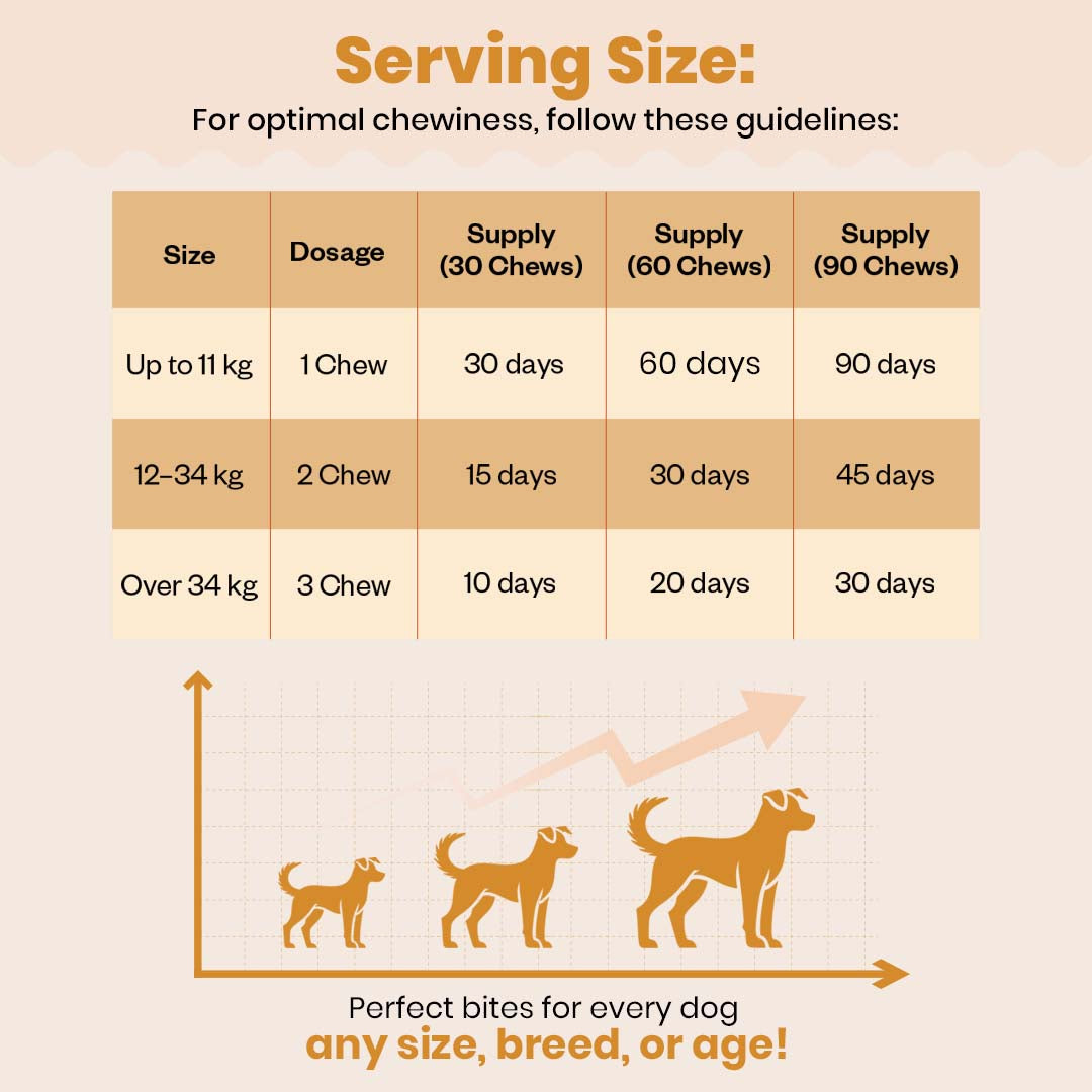 TailsAlive Hip & Joint Chicken Flavor Soft Chews Supplements for Dogs Dogs-Health & Wellness TailsAlive
