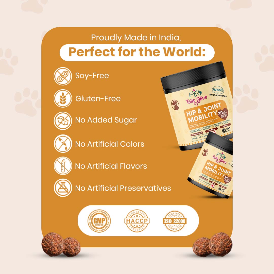 TailsAlive Hip & Joint Chicken Flavor Soft Chews Supplements for Dogs Dogs-Health & Wellness TailsAlive